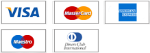 payment transaction icon